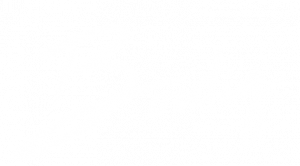 logo boutiq.fr